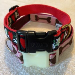Dog Collars 🐶♥️